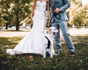 How to Include Your Dog in Your Wedding