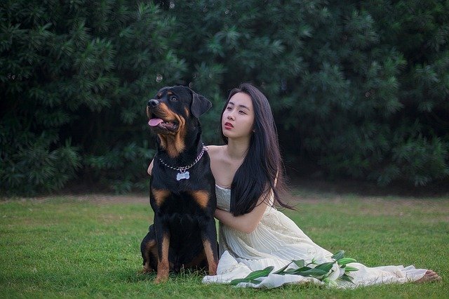 How to Include Your Dog in Your Wedding
