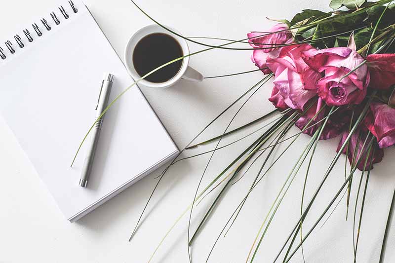 The Ultimate Wedding Checklist: Part One